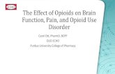 Introduction to opioid use disorder of...The Effect of Opioids on Brain Function, Pain, and Opioid Use Disorder Carol Ott, PharmD, BCPP OUD ECHO Purdue University College of Pharmacy