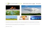 Understanding Greenhouse Gas Balances of Bioenergy Systemsepsassets.manchester.ac.uk/medialand/supergen/Publications/GHG... · UNDERSTANDING GREENHOUSE GAS BALANCES OF BIOENERGY SYSTEMS