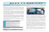 REEF CURRENTS - Ambergris Caye · "Responsible Tour Guiding Seminar" At a dive shop in San Pedro Town Every year during the slow tourist season Hol Chan conducts its annual "Responsible