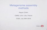 Rayan Chikhi CNRS, Univ. Lille, France CGSI, July 30th 2018rayan.chikhi.name/pdf/cgsi18_metassembly_methods.pdf · -CAMI - A Benchmark of Metagenomics Software, 2017-MEGAHIT & metaSPAdes