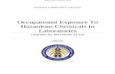 Occupational Exposure To Hazardous Chemicals In Laboratories · settings. This plan is based on best practices identified in, among others sources, “Prudent Practices for Handling