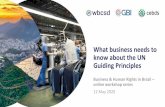 What business needs to know about the UN Guiding Principles · 2020-05-20 · Work, the Children’s Rights and Business Principles, UN Women’s Empowerment Principles and the UN