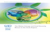 The Water, Energy and Food Security Nexus in the Arab Region€¦ · principles on access to water, food and development, can provide the The Arab region is one of the most arid in