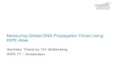 Measuring Global DNS Propagation Times Using RIPE Atlas · Measuring Global DNS Propagation Times Using RIPE Atlas: Overview –Focus: detailed view on the Domain Name System (DNS)