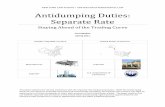 Antidumping Duties: Separate Rate - yuristarikovlaw.com/wp-content/uploads/AntidumpingPaper.pdf · antidumping tariffs in the capacity of non-mandatory respondents. 1. KEY PARTIES