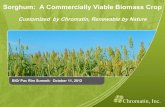 Sorghum: A Commercially Viable Biomass CropChromatin’s sorghum breeding pipeline •Proprietary collection includes 90-95% of global sorghum diversity •Targets: Increased starch,