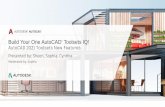 Build Your One AutoCAD Toolsets IQ! · AutoCAD 2021 and AutoCAD Web & Mobile New Features 23 January 2020 Creating Custom Catalogs in AutoCAD Plant 3D 21 November 2019 Diagnose and