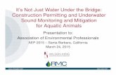 It’s Not Just Water Under the Bridge: Construction …host8.viethwebhosting.com/.../AEP_Underwater_Soundfinal.pdf Presentation to: Association of Environmental Professionals AEP