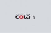 2017 - Cola Stoves · 2017-05-08 · 2017. Company Cola Why Choose Pellets? Cola Approved Partner Assurance Certifications ... wood burning stoves must be ignited ... (6 – 9 kW)