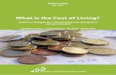 What Is the Cost of Living? - Semantic Scholar...What Is the Cost of Living? Reference Budgets for a Decent Minimum Standard of Living in Finland Anna-Riitta Lehtinen • Johanna Varjonen