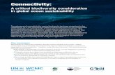 A critical biodiversity consideration in global ocean …...A critical biodiversity consideration in global ocean sustainability The relevance of connectivity for marine biodiversity
