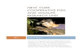 NEW YORK COOPERATIVE FISH AND WILDLIFE RESEARCH UNIT... · The New York Cooperative Fish and Wildlife Research Unit was established in1961 under the leadership of Dr. Daniel Thompson.