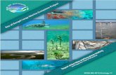 BOBLME-2012-Ecology-11€¦ · BOBLME-2012-Ecology-11. Report of the hilsa working group meeting Table of contents . 1. ... Appendix I Hilsa (Tenualosa ilisha) stock status advice