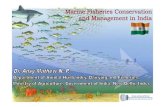 Scope of Indian fisheries management - un.org€¦ · Scope of Indian fisheries management: Total Indian population - 1,147,995,898 (July 2008) Fish - Source of cheap and nutritious