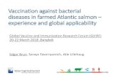 Vaccination against bacterial diseases in farmed Atlantic salmon … · 2006-06-15  · Vaccination against bacterial diseases in farmed Atlantic salmon – experience and global