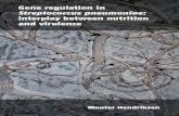 Gene regulation in - RePub, Erasmus University Repository Wouter Theodoor… · Gene regulation in Streptococcus pneumoniae: interplay between nutrition and virulence Genregulatie