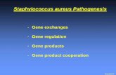 Gene exchanges Gene regulation Gene products Gene product ...€¦ · Virulence Gene Regulation by Peptides in S. aureus (2) Novick et al. Curr. Op. Microbiol. 1999;2:40-45 Translation