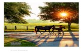 96 K - Keeneland A Piece Of He… · “The very rich buy good land,” said Tom Biederman of Biederman Real Estate and Auctioneers, “and when they get it, they keep it.” Often