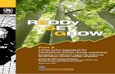United Nations Environment Programme Finance Initiative (UNEP FI) REDDy SET GROW · 2011-10-17 · Part 2 – Private sector suggestions for international climate change negotiators