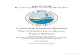 State of Florida Department of Environmental Protection · State of Florida . Department of Environmental Protection . Drinking Water & Domestic Wastewater . Water Distribution System
