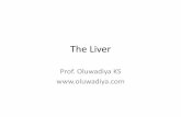 The Liver - Oluwadiya The Liver.pdffossa for the gallbladder and posteriorly by the fossa for the inferior vena cava. •The left limb is formed anteriorly by the fissure for the round