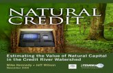 Estimating the Value of Natural Capital in the Credit River Watershed · 2009-11-24 · Natural Credit: Estimating the Value of Natural Capital in the Credit River Watershed iii About