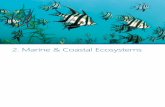 2. Marine & Coastal Ecosystemsvnpa.org.au/wp-content/uploads/2014/02/NCR-Chapter2.pdfoceanic influences intersect in Victorian waters – the warm East Australian Current, the temperate