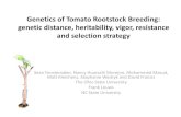 Genetics of Tomato Rootstock Breeding: genetic distance ...tgc.ifas.ufl.edu/TBRT 2018/Rootstock/Genetics of... · Genetics of Tomato Rootstock Breeding: genetic distance, heritability,