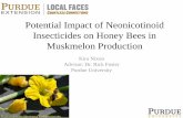 Potential Impact of Neonicotinoid Insecticides on …...Potential Impact of Neonicotinoid Insecticides on Honey Bees in Muskmelon Production Kira Nixon Advisor: Dr. Rick Foster Purdue