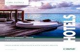 CBRE HOTELS - CBRE Vietnamcbrevietnam.com/publication/CBREVietnam_Hotels_CapStat_2019.pdf · Vietnam, Myanmar and Laos. Whether institutional or individual, investor or owner, clients