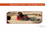 Strategic Plan 2018 - Malawi Fruitsmalawifruits.org.uk/.../10/Strategic-Plan-2018.pdf · Strategic Plan 2018 - 2021 8 March 2018 Oil processing plant Malawi Fruits has been working