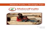 Strategic Plan 2020 - Malawi Fruitsmalawifruits.org.uk/.../02/Strategic-Plan-2020.pdf · Strategic Plan 2020 - 2022 1 January 2020 Executive Summary Malawi Fruits has only a short
