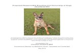 Proposed Responsible Breeding and Ownership of Dogs ... · Proposed Responsible Breeding and Ownership of Dogs (Scotland) Bill ... B – Extending the breeding licence regime to any