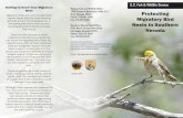 Getting to Know Your Migratory Birds Reno, Nevada 89502 ... · a serious threat to baby and adult birds, especially when birds are incubating eggs, roosting at night, foraging at