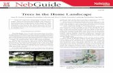 G1747 Trees in the Home Landscape - extension.unl.edu · This series includes information on windbreak design, estab-lishment, management, renovation, and attracting wildlife. Provide