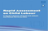 Rapid Assessment on Child Labour...Citation: Abi Habib-Khoury, R., (2011), “Rapid Assessment on Child Labour in North Lebanon (Tripoli and Akkar) and Bekaa Governorates”, Report