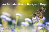 An Introduction to Backyard Bugs and Ecologytxmn.org/elcamino/files/2010/03/An-introducton-to-backyard-bugs-jo… · •A Field Guide to Common Texas Insects (Texas Monthly Fieldguide