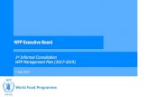 WFP Executive Board · WFP Executive Board 1st Informal Consultation WFP Management Plan (2017-2019) ... Actual/Projected year-end PSAEA Balance 138.3 169.9 169.9 PSAEA Target Levels