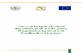 The IGAD Regional Peste des Petits Ruminants (PPR ... · The IGAD Regional Peste des Petits Ruminants (PPR) Progressive Control and Eradication Strategy FOREWORD The IGAD region with