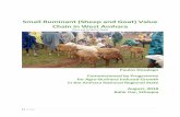Small Ruminant (Sheep and Goat) Value Chain in West Amhara · 2019-03-27 · Small Ruminant (Sheep and Goat) Value Chain in West Amhara (Dera and N/Mecha Cases) Paulos Desalegn .