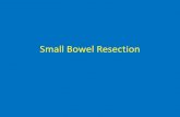 Small Bowel Resection - UCSF Surgical Skills Center...Small Bowel Resection Key Simulated steps and operative Principles • Bowel resection with lymphadenectomy • Use of GIA staplers