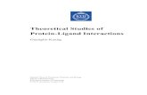 Theoretical Studies of Protein-Ligand Interactions926080/SUMMARY01.pdf · 2016-05-04 · The protein-ligand interaction is an important issue in rational drug design and protein function