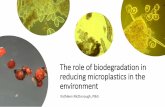 Biodegradation of Microplasticsnas-sites.org/emergingscience/files/2020/02/15_McDonough.pdf · Cosmetic Microbeads: microplastics in personal care products. McDonough et al. 2017.
