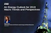 An Energy Outlook for 2019 Macro Trends and …An Energy Outlook for 2019 Macro Trends and Perspectives Regina Mayor Global Sector Head and US Sector Leader Energy and Natural Resources