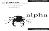 Design Patterns - OWASPdesign patterns. OWASP ESAPI toolkits help software developers guard against security-related design and implementation flaws. Just as web applications and web