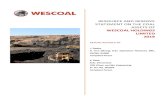 RESOURCE AND RESERVE STATEMENT ON THE COAL ASSETS …€¦ · RESOURCE AND RESERVE STATEMENT ON THE COAL ASSETS OF WESCOAL HOLDINGS LIMITED 2018 REPORT REPARED BY L. Raaths B. Tech