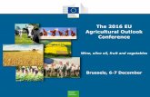 The 2016 EU Agricultural Outlook Conference › info › sites › info › files › food...Dec 07, 2016  · The 2016 EU Agricultural Outlook Conference Wine, olive oil, fruit and