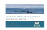 SOUTHERN RESIDENT KILLER WHALE COMMUNITY …...Southern Resident Killer Whale Community Workshop 2.0 For San Juan County Council Frances C. Robertson Kendra Smith Public Works Environmental