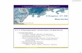 Bacteria - Marmara Üniversitesimimoza.marmara.edu.tr/~baris.calli/Enve303/Chapter17-18-19.pdf · 11/23/2015 3 Marmara University – Enve303 Env. Eng. Microbiology – Prof. BARIŞ