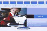Skills development 2018 - Edutel › ... › 2017 › 12 › Skills-development-2018.pdf · 2018-09-04 · 2 . National Certificate: Occupationally-Directed Education, Training and6